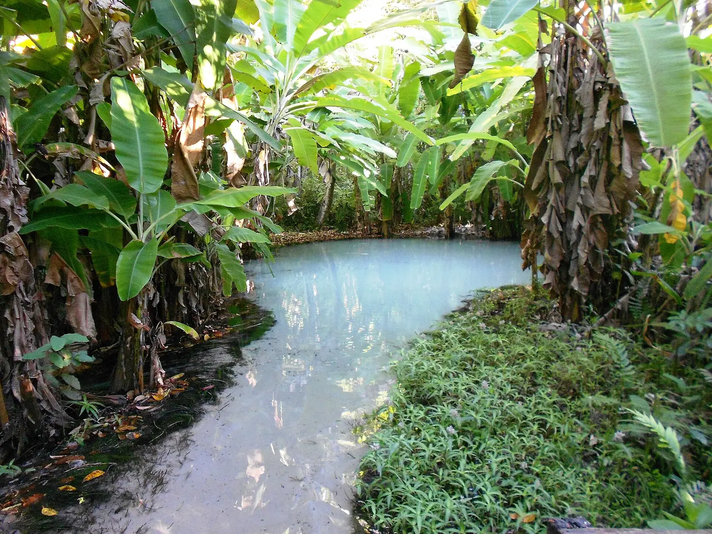 Fervedouro springs, Jalapão, photo 2 of 3