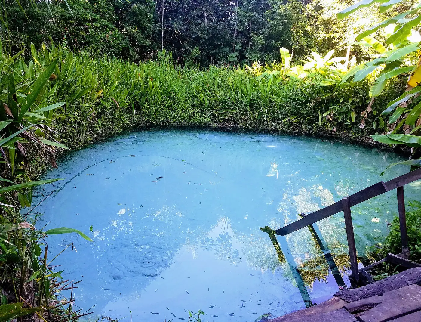 Fervedouro springs, Jalapão, photo 3 of 3