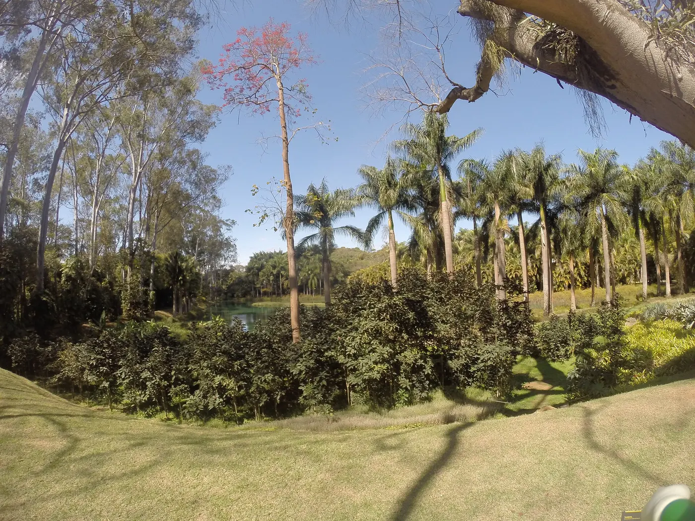 Inhotim, photo 5 of 5