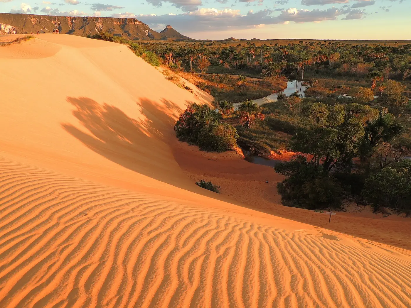 Jalapão dunes, photo 2 of 5